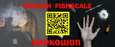 спиды Гатчина