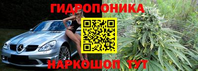 спиды Гатчина