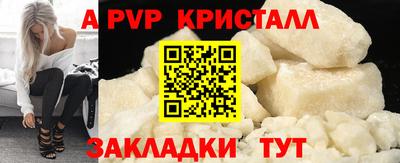 спиды Гатчина