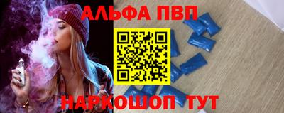 спиды Гатчина
