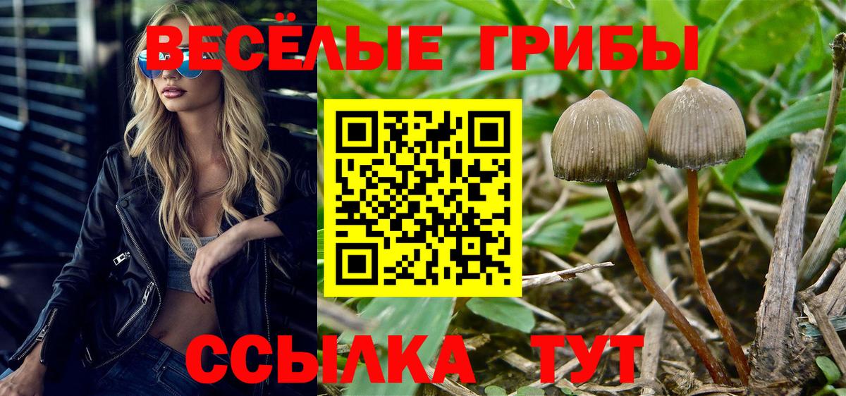 Минеральные Воды  Псилоцибиновые грибы Psilocybe  Вход с VPN  Галлюциногенные грибы Psilocybine cubensis 
