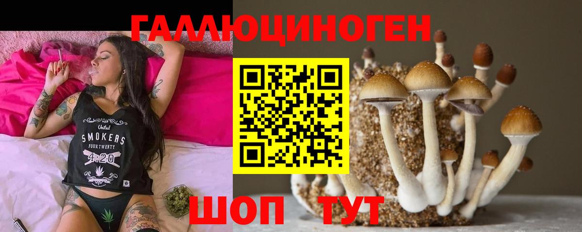 Псилоцибиновые грибы Psilocybine cubensis Минеральные Воды